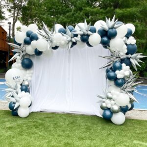 balloon column and photo backdrop
